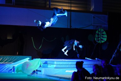 Artico-Artistical-Dschungelbuch-260220-0008