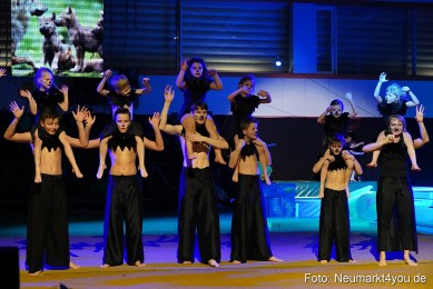 Artico-Artistical-Dschungelbuch-260220-0011