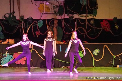 Artico-Artistical-Dschungelbuch-260220-0036