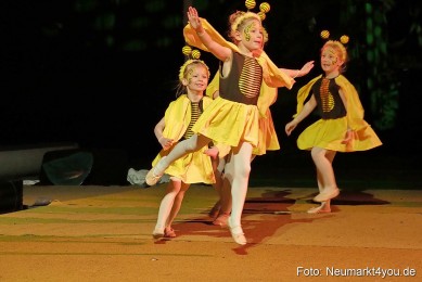 Artico-Artistical-Dschungelbuch-260220-0061