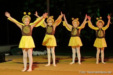 Artico-Artistical-Dschungelbuch-260220-0067