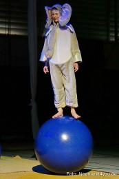 Artico-Artistical-Dschungelbuch-260220-0091