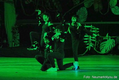 Artico-Artistical-Dschungelbuch-260220-0117