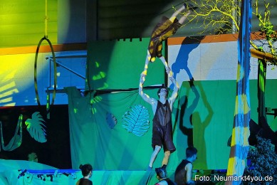 Artico-Artistical-Dschungelbuch-260220-0127