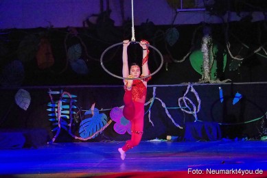 Artico-Artistical-Dschungelbuch-260220-0130