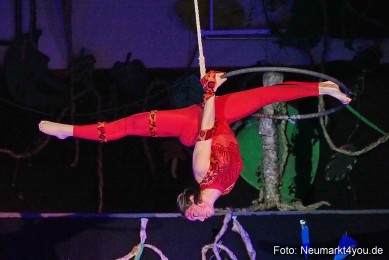 Artico-Artistical-Dschungelbuch-260220-0131