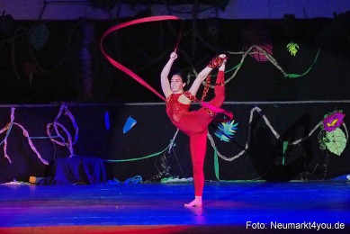 Artico-Artistical-Dschungelbuch-260220-0132