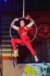 Artico-Artistical-Dschungelbuch-260220-0135