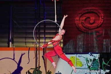 Artico-Artistical-Dschungelbuch-260220-0137