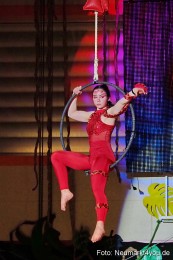 Artico-Artistical-Dschungelbuch-260220-0149