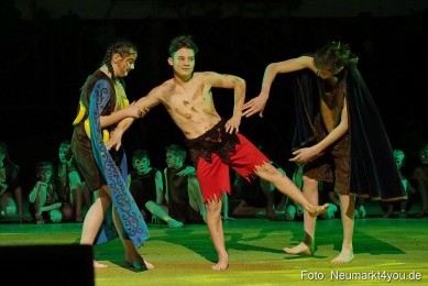 Artico-Artistical-Dschungelbuch-260220-0168