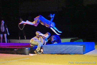 Artico-Artistical-Dschungelbuch-260220-0185