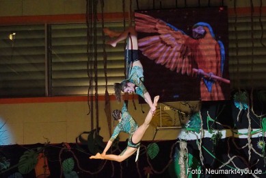 Artico-Artistical-Dschungelbuch-260220-0196