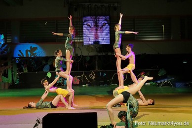 Artico-Artistical-Dschungelbuch-260220-0200