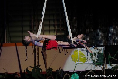 Artico-Artistical-Dschungelbuch-260220-0206