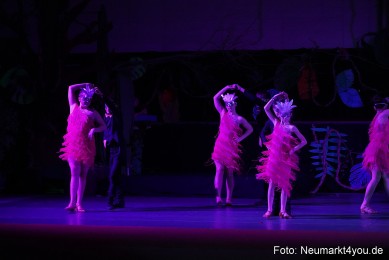 Artico-Artistical-Dschungelbuch-260220-0212