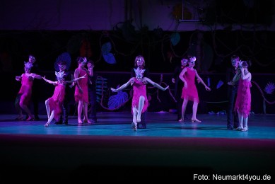 Artico-Artistical-Dschungelbuch-260220-0213