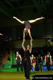 Artico-Artistical-Dschungelbuch-260220-0230