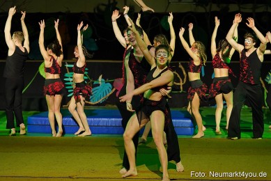 Artico-Artistical-Dschungelbuch-260220-0231