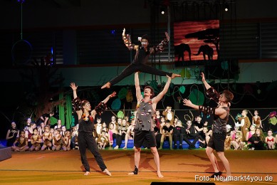 Artico-Artistical-Dschungelbuch-260220-0257