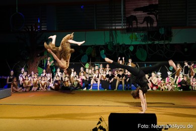 Artico-Artistical-Dschungelbuch-260220-0262