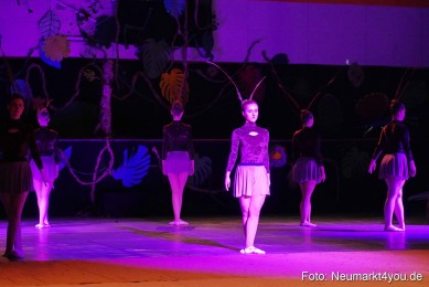 Artico-Artistical-Dschungelbuch-2020-0008