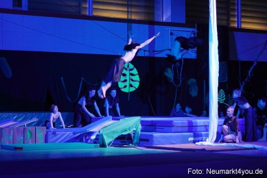 Artico-Artistical-Dschungelbuch-2020-0017