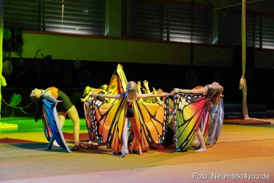 Artico-Artistical-Dschungelbuch-2020-0031