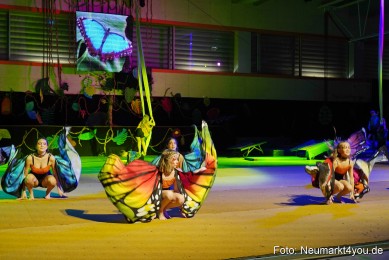 Artico-Artistical-Dschungelbuch-2020-0036