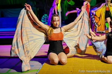 Artico-Artistical-Dschungelbuch-2020-0043