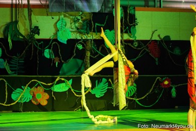 Artico-Artistical-Dschungelbuch-2020-0045