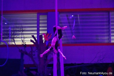 Artico-Artistical-Dschungelbuch-2020-0070