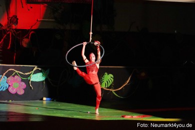 Artico-Artistical-Dschungelbuch-2020-0084