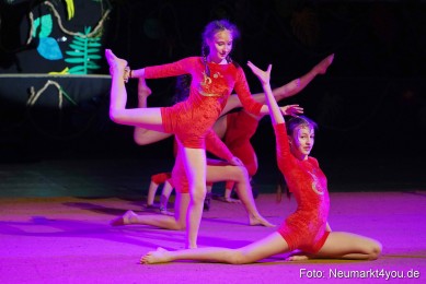 Artico-Artistical-Dschungelbuch-2020-0098