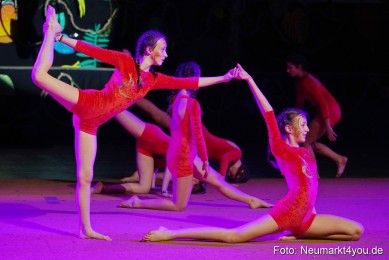 Artico-Artistical-Dschungelbuch-2020-0099