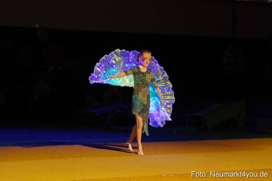 Artico-Artistical-Dschungelbuch-2020-0132