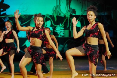 Artico-Artistical-Dschungelbuch-2020-0151