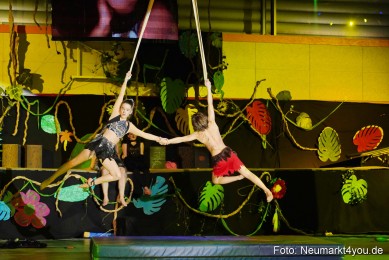 Artico-Artistical-Dschungelbuch-2020-0176