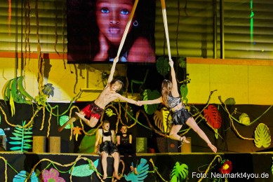 Artico-Artistical-Dschungelbuch-2020-0177