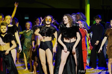 Artico-Artistical-Dschungelbuch-2020-0193