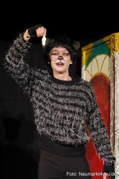 Der-ungestiefelte-Kater-261122-0052