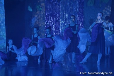 Die-12-tanzenden-Prinzessinnen-0153