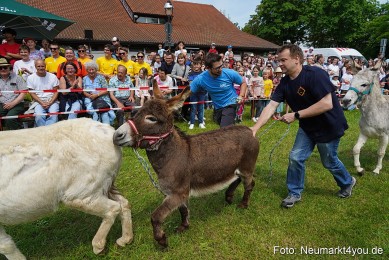 Eselrennen-Fruehlingsfest-2023-0021