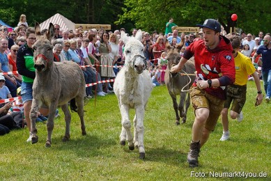 Eselrennen-Fruehlingsfest-2023-0041