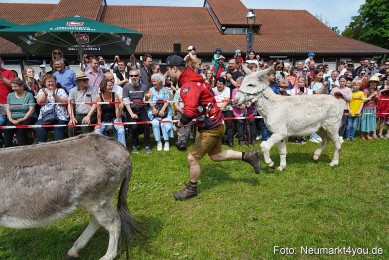 Eselrennen-Fruehlingsfest-2023-0046
