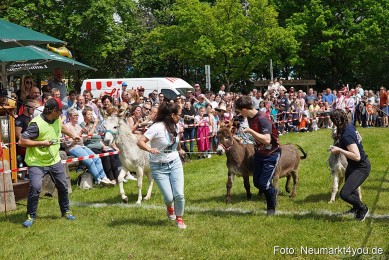 Eselrennen-Fruehlingsfest-2023-0047