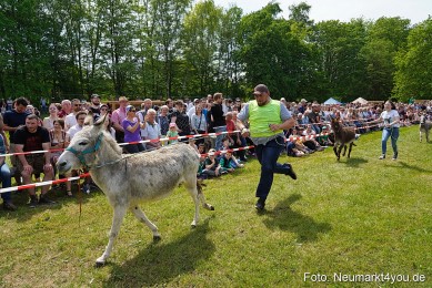 Eselrennen-Fruehlingsfest-2023-0062