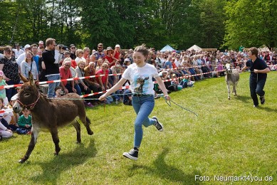Eselrennen-Fruehlingsfest-2023-0063