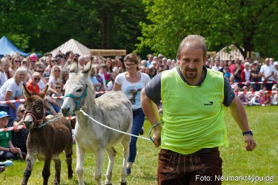 Eselrennen-Fruehlingsfest-2023-0069