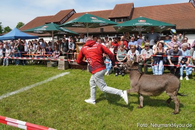 Eselrennen-Fruehlingsfest-2023-0071